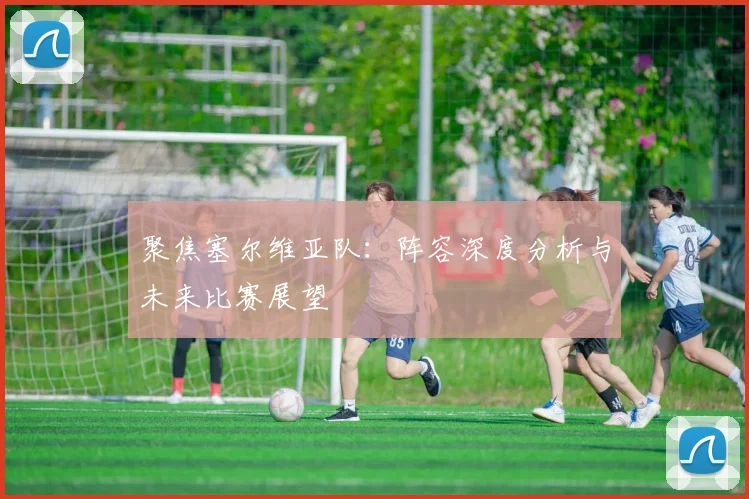 聚焦塞尔维亚队：阵容深度分析与未来比赛展望